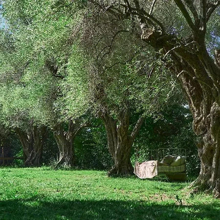 Vila Bastide Les Cigales *